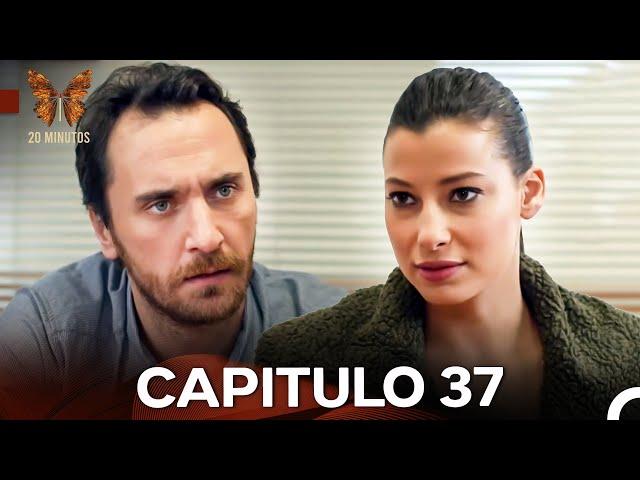 20 Minutos Capitulo 37 (Doblado en Español)