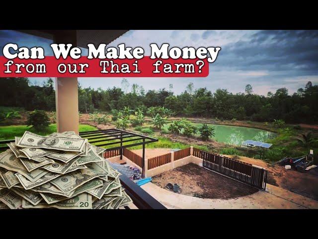 Can we really make money from our farm in Thailand?..