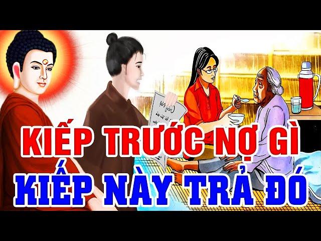 Nhân Quả Báo Ứng, KIẾP TRƯỚC NỢ GÌ KIẾP NÀY TRẢ ĐÓ - Luật Nhân Quả Báo Ứng Không Trừ Một Ai | Truyện