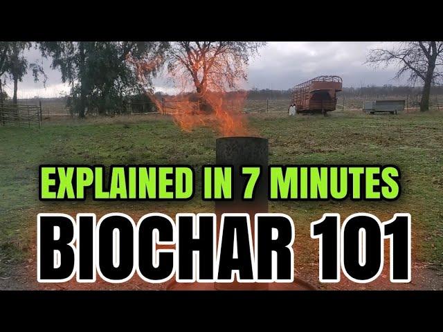 EVERYTHING YOU ever WANTED to KNOW about BIOCHAR 