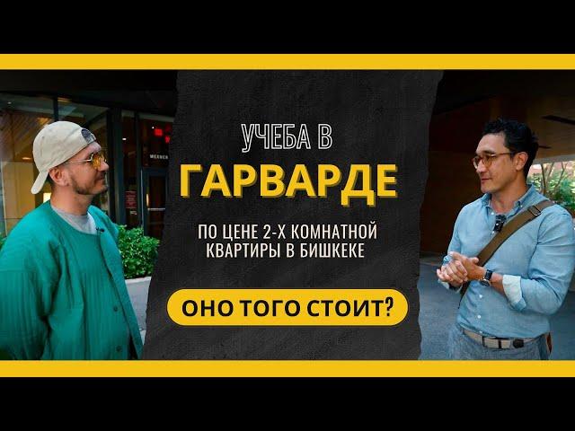 Честно об американском образовании: беседа с Шамилем Ибрагимовым