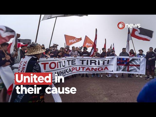 National hīkoi starts journey towards Parliament | 1News on TVNZ+