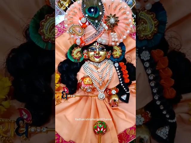 Krishna।Laddu Gopal Status।Laddu gopal ji #shots #viralvideo #krishna
