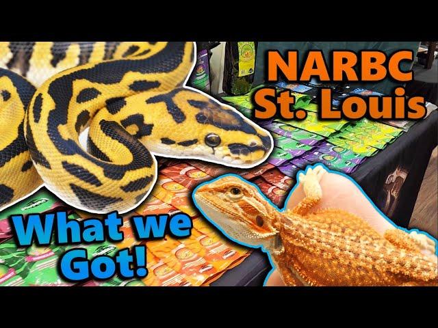 What we got at St. Louis Reptile Expo! *New species!*