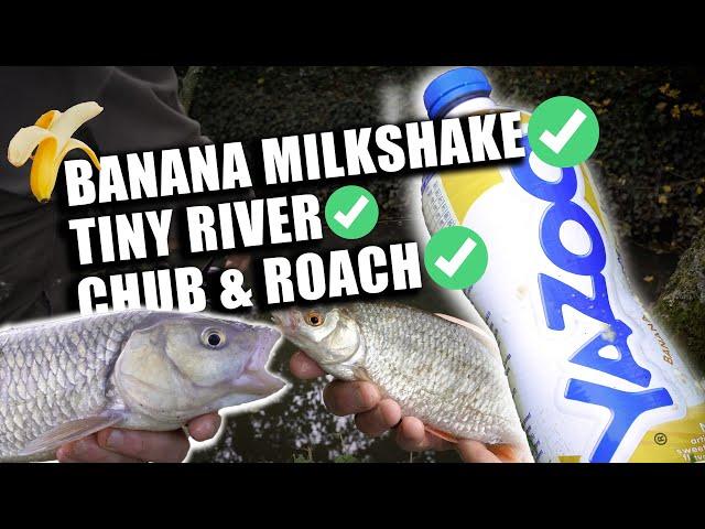 The Banana Bread Trick For Fishing Small Rivers - Catch MORE chub and roach!