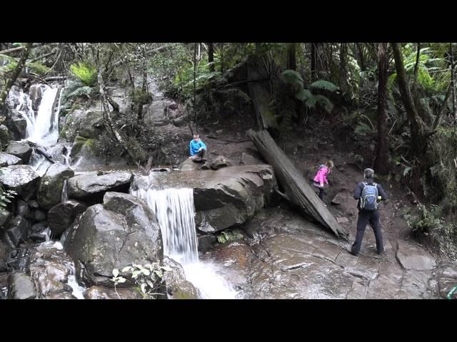 Hiking around the Olinda Falls, Mount Dandenong