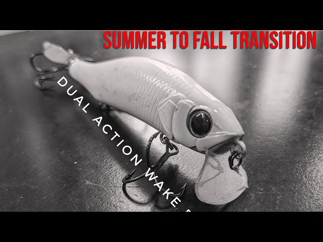 Best Late Summer Top water?!? Secret Wake Bait