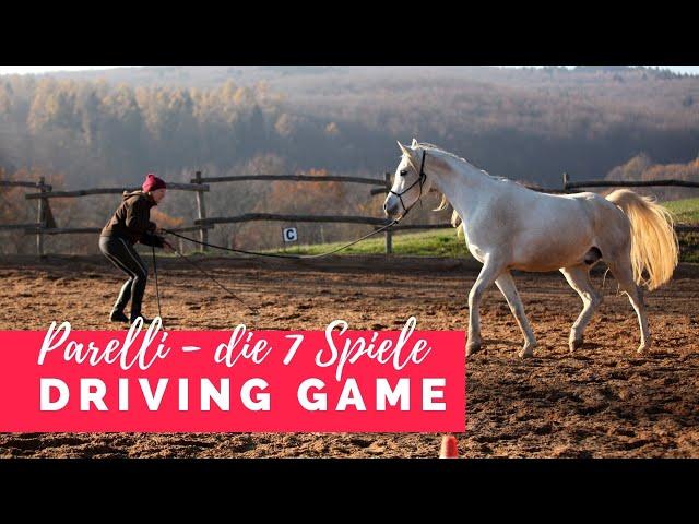 Die 7 Spiele nach Parelli - Driving Game | ausführliche Anleitung Teil 3/7