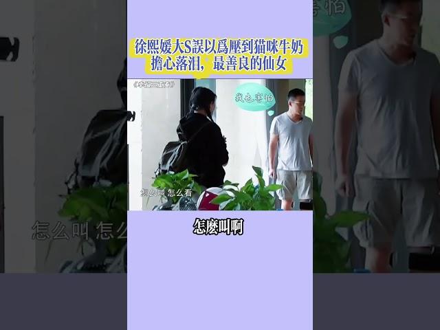 徐熙媛大s:以為自己壓到一只貓，傷心難過，最善良的仙女！#婚姻 #情感 #家庭 #汪小菲 #大s#徐熙媛大s#悼念大s#俠女大s徐熙媛