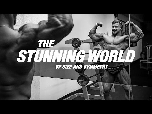 »The stunning world of size and symmetry«