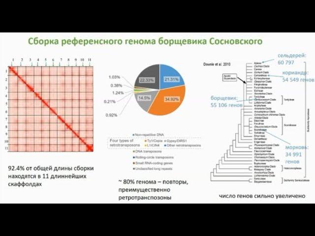 Мария Логачева - Встреча СтопБорщевик в Благосфере 3.12.2023