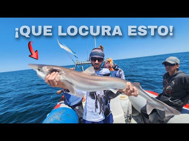 MIRAA, PESCA DE TIBURONES, SE NOS VENIAN LOS DELFINES, pesca en Santa Clara del mar, pesca Argentina