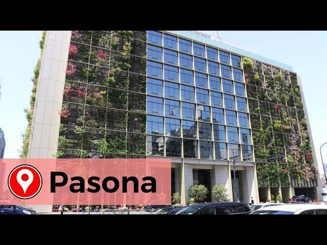 PASONA URBAN FARM TOKYO - FAIT AU JAPON