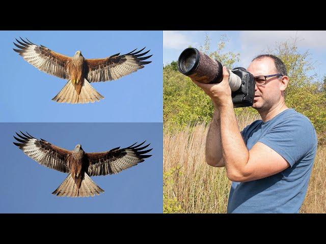 How to Photograph Birds in Flight Against the Sky - Exposure Compensation and Manual Exposure