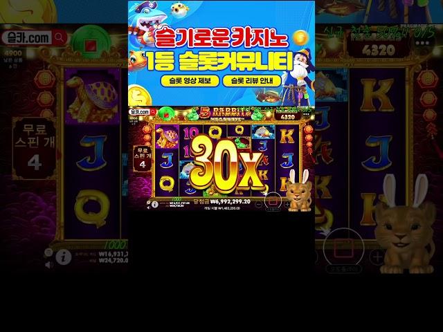 슬기로운카지노 사자는 오라메 메인캐릭터! #슬롯 #슬롯머신 #슬카