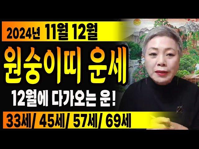 ⭐2024년 양력11월 12월 원숭이띠운세⭐대박! 좋은 일로 사람들한테 인사 받을 운세! 92년생, 80년생, 68년생, 56년생 원숭이띠운세 #서울점집 장안동 방울보살