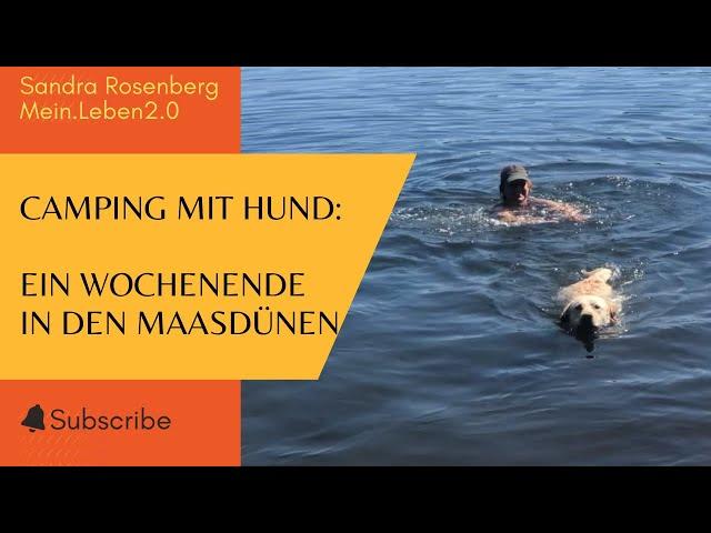 Abkühlung bei 30 Grad im Schatten #maasdünen #badesee #camping #labrador #vanlive