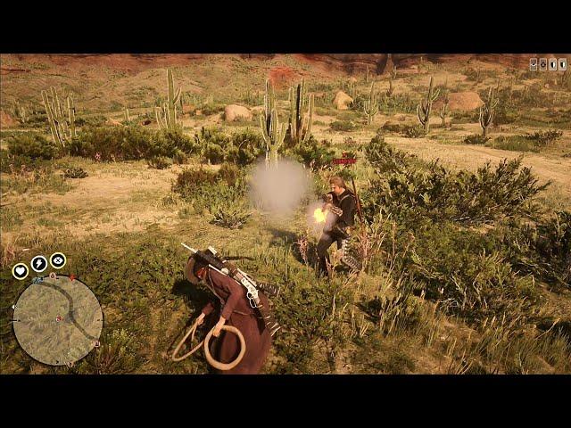 RDR2 Online - A posse of 4 griefers get buried in Armadillo