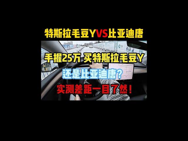 手握25万，买特斯拉毛豆Y还是比亚迪唐？实测差距一目了然！ #特斯拉modely #比亚迪唐 #dou是好车