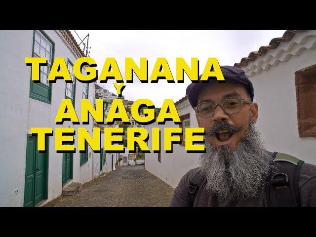 QUÉ HACER EN TENERIFE - TAGANANA Y ANAGA, TENERIFE NORTE - ¡Qué Gran Viaje! - Lee de Caires