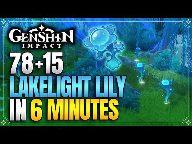 Lakelight Lily Locations | Fast and Efficient Route | Furina Ascension Materials |【Genshin Impact】