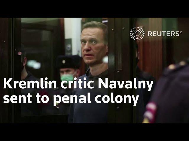 Kremlin critic Navalny sent to penal colony