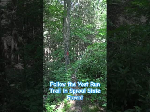 Take a #hike In Northern #CentreCounty To Enjoy #YostRunFalls