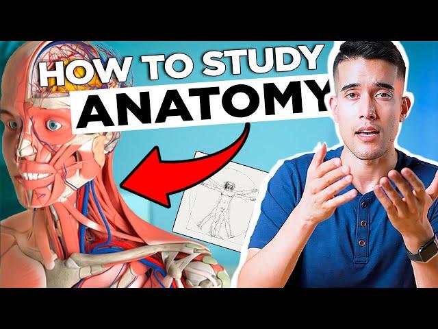 How to Study Anatomy (in Medical School)