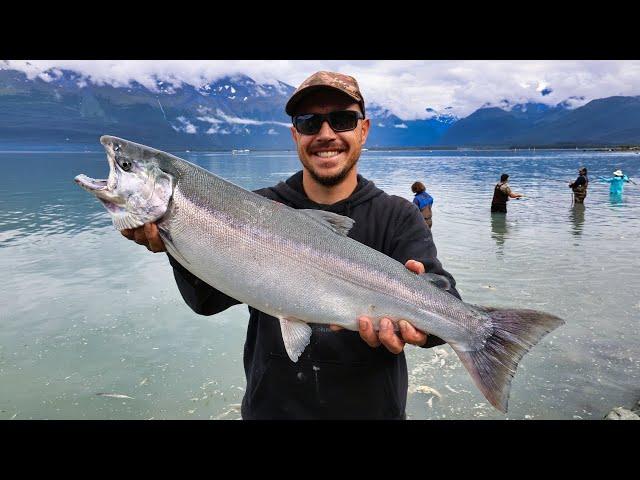 Snagging Coho Salmon with Sea Lions & Bears | Coconut Fish Head Soup