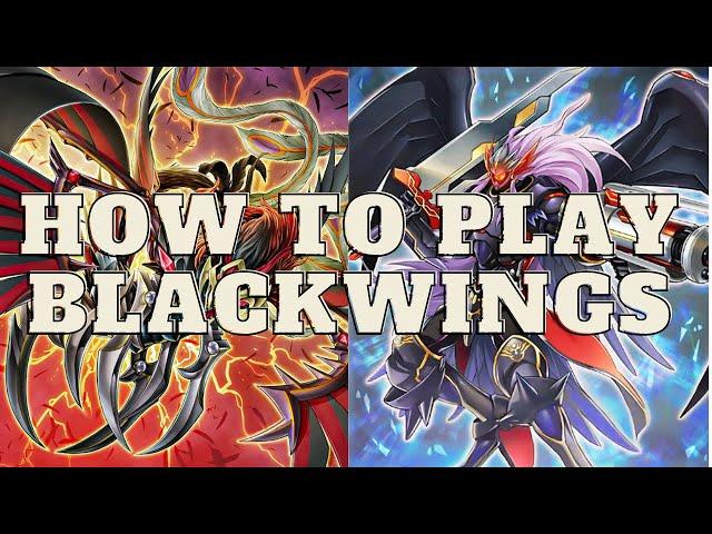 HOW TO PLAY BLACKWING (POST DARKWING BLAST) | Yu-Gi-Oh! (Deck Profile and Combos)