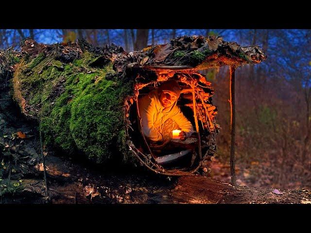 Building a Warm and Cozy Hollow for Survival, in the root of a fallen spruce. Secret cave, Bushcraft