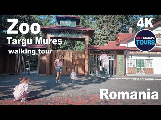 Zoo Targu Mures, ROMANIA  Walking tour | (4k UHD 60fps) May 2022