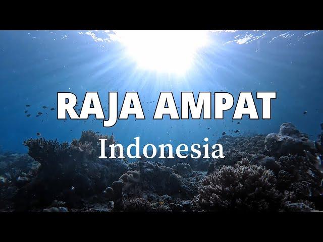 SCUBA Diving in the Last Paradise | Raja Ampat, Indonesia