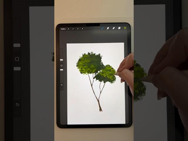 Procreate How to Draw a Tree Nature Tutorial