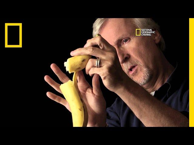 The Banana Theory: Cameron On Camera Discussion | Titanic 100