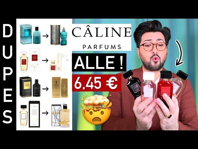 Kostet Nix und ist Geil ️‍ CALINE Dupes - ALLE in einem Video 