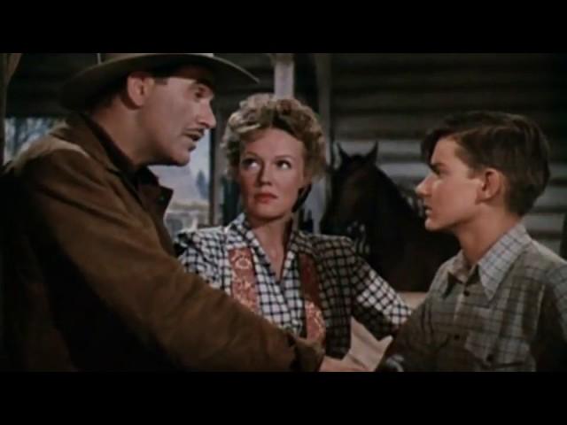 Thunderhead   Son of Flicka Western Family Film 1945  Roddy McDowall, Preston Foster & Rita Johnson