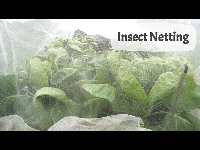 Insect Netting