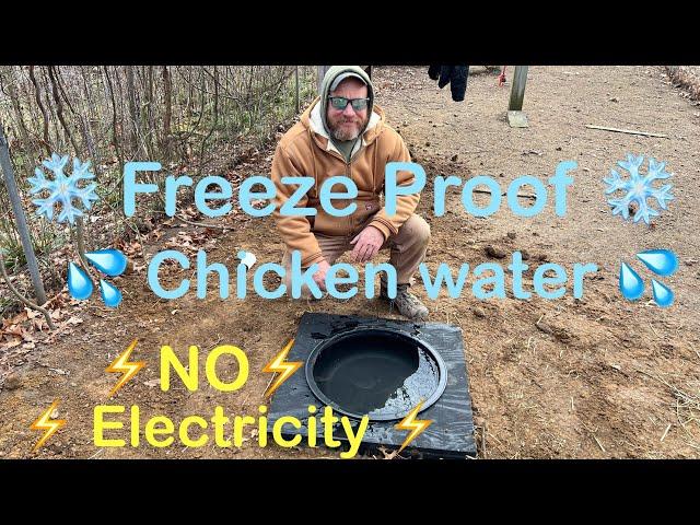 Freeze proof chicken waterer with no electric heater and no bill!!!