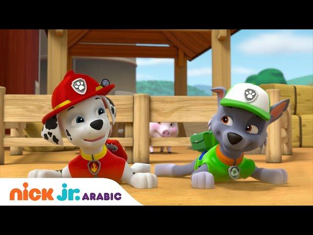 دوريات المخلاب | مغامرات الجراء والمزارعة يومي | Nick Jr. Arabia