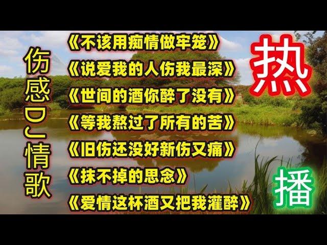 伤感好听DJ歌曲《不该用痴情做牢笼》《说爱我的人伤我最深》