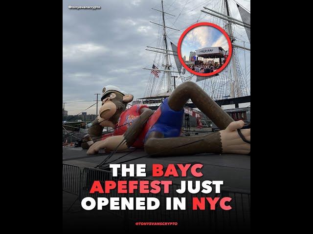 Highlights of Bored Apefest 2022 in NFT NYC