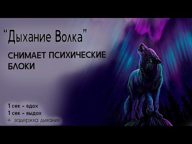 ДЫХАНИЕ ВОЛКА| Дыхательная гимнастика| СНИМАЕТ ПСИХИЧЕСКИЕ БЛОКИ | YAN.G #Пранаяма