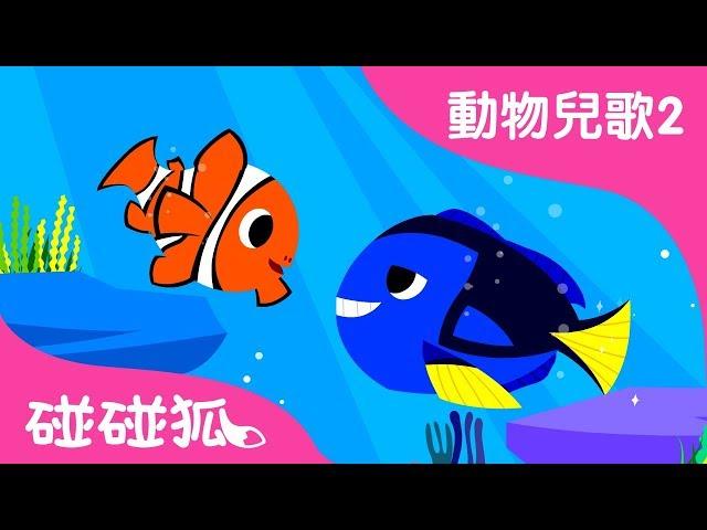 熱帶魚 | 動物兒歌2 | 2018 | 碰碰狐Pinkfong | 寶寶兒歌