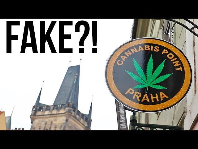 Why Are There So Many Weed Shops in Prague?!