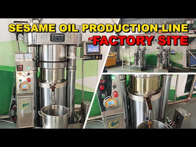 Automatic Hydraulic Sesame Oil Press Machine|Sesame Oil Expeller|Hydraulic Sesame Oil Extractor