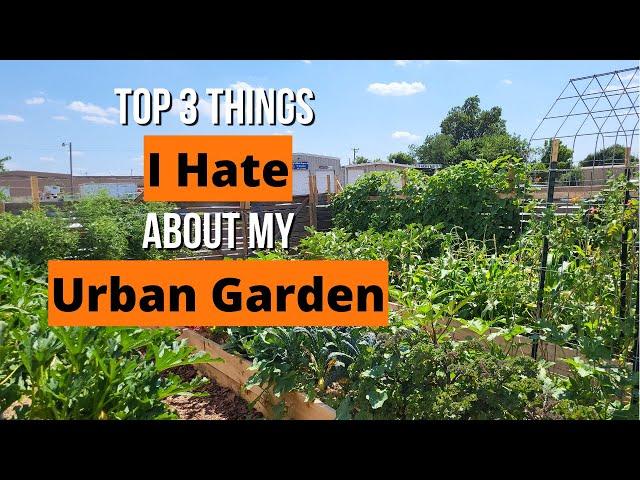 Top 3 Things I Hate About My Urban Garden