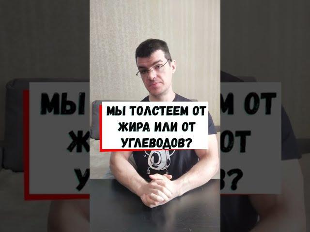 От чего толстеем? От жира или углеводов?