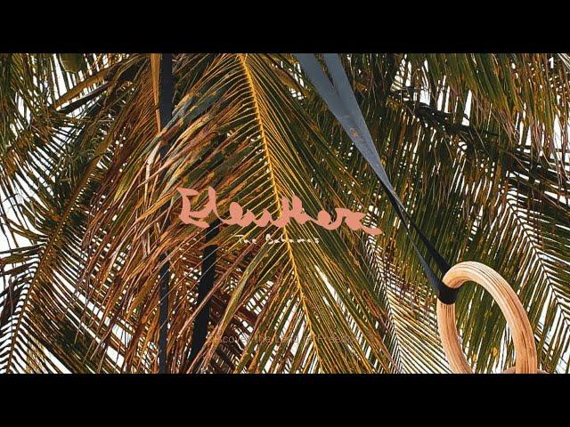 Living Local || Eleuthera, Bahamas Travel Vlog #1