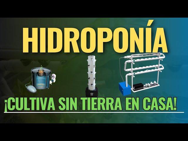 ALIMENTOS en HIDROPONIA